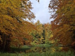 55887170812824023370210453267776301454068204n